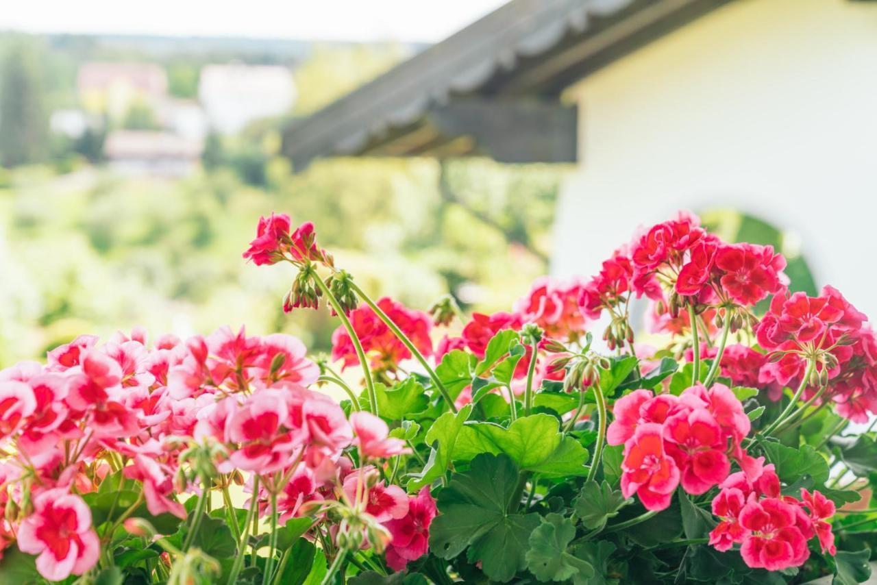 Landgasthaus Sonne Freudenstadt Dış mekan fotoğraf